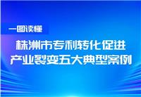 株洲市专利转化促进产业裂变五大典型案例