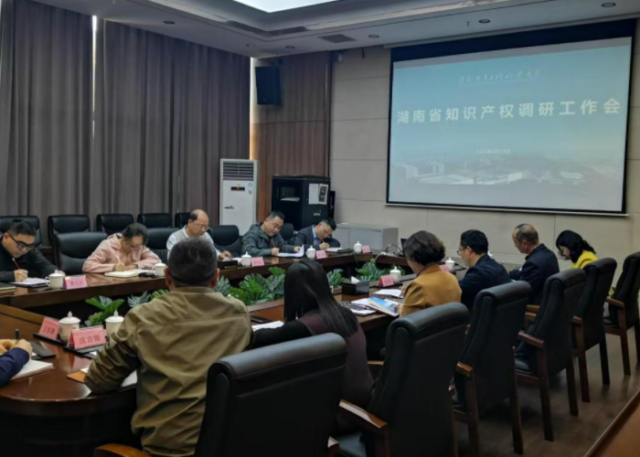 株洲湘知知识产权代理事务所,株洲市三湘知识产权服务有限责任公司,株洲知识产权代理服务,企业知识产权系统方案,知识产权咨询